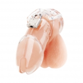 Прозрачная клетка целомудрия Acrylic See-thru Chastity Cage - BlueLine - купить с доставкой в Набережных Челнах