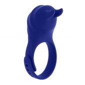 Синее эрекционное виброкольцо с клиторальной подушечкой и пультом ДУ Adjustable Fun Ring - Zero Tolerance - в Набережных Челнах купить с доставкой