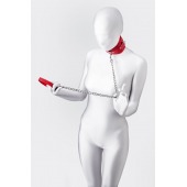 Красный ошейник с подкладкой из меха - ToyFa - купить с доставкой в Набережных Челнах