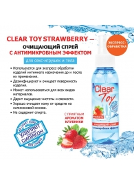 Очищающий спрей для игрушек CLEAR TOY Strawberry - 100 мл. - Биоритм - купить с доставкой в Набережных Челнах