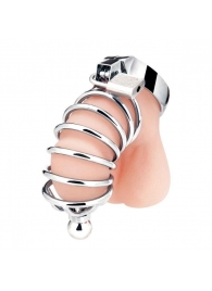 Серебристая клетка для члена Urethral Play Cage - BlueLine - купить с доставкой в Набережных Челнах