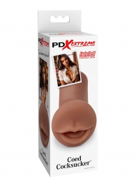 Мастурбатор-ротик Coed Cocksucker - Pipedream - в Набережных Челнах купить с доставкой