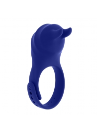 Синее эрекционное виброкольцо с клиторальной подушечкой и пультом ДУ Adjustable Fun Ring - Zero Tolerance - в Набережных Челнах купить с доставкой