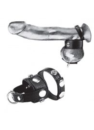 Утяжка для мошонки и пениса Cock Ring With 1  Ball Stretcher And Optional Weight Ring - BlueLine - купить с доставкой в Набережных Челнах