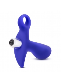 Синий стимулятор простаты с ручкой-кольцом Performance Prostimulator 02 - Blush Novelties - в Набережных Челнах купить с доставкой