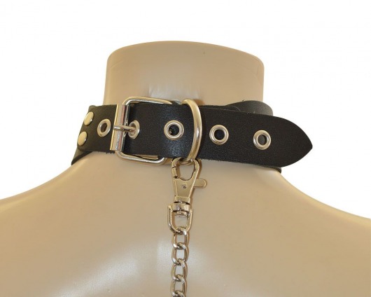 Ошейник  Веселый Роджер - Sitabella - купить с доставкой в Набережных Челнах