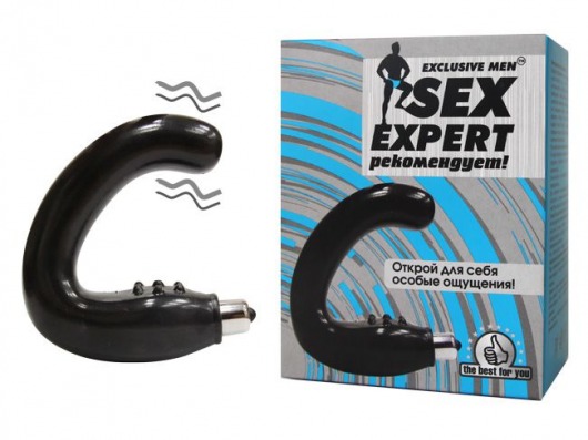 Чёрный массажёр простаты серии Sex Expert - Sex Expert - в Набережных Челнах купить с доставкой
