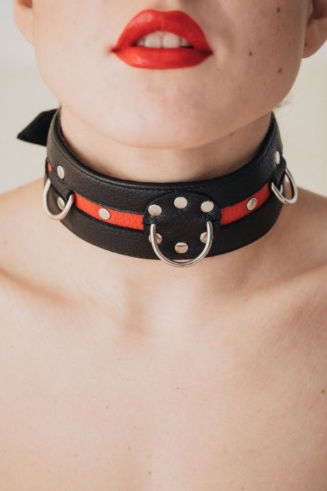 Черно-красный ошейник на пряжке - БДСМ Арсенал - купить с доставкой в Набережных Челнах
