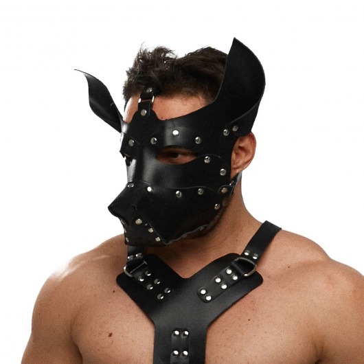 Черная кожаная маска «Собака» - Crazy Handmade - купить с доставкой в Набережных Челнах
