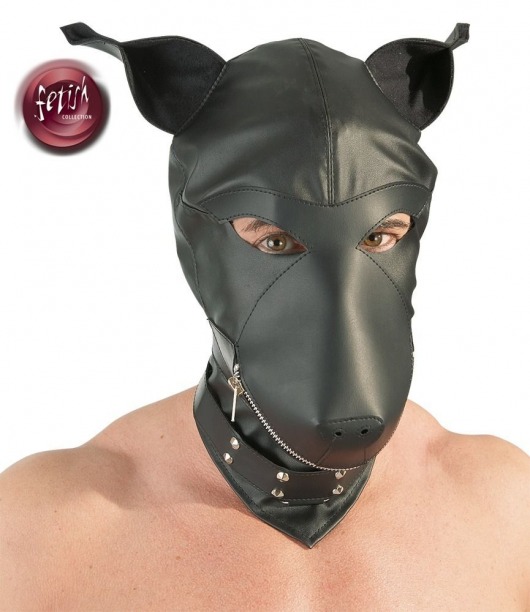 Шлем-маска Dog Mask в виде морды собаки - Orion - купить с доставкой в Набережных Челнах