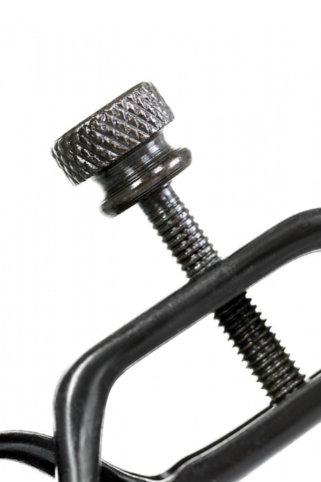 Черно-золотистые зажимы для сосков TOYFA Theatre - ToyFa - купить с доставкой в Набережных Челнах